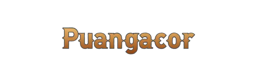 Logo Puangacor